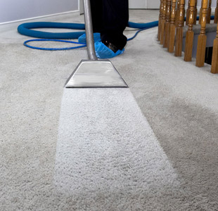 carpet cleaning carpet cleaners