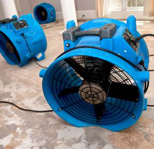 water damage cleaners water damage cleaing